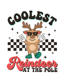 COOLEST REINDEER AT THE POLE